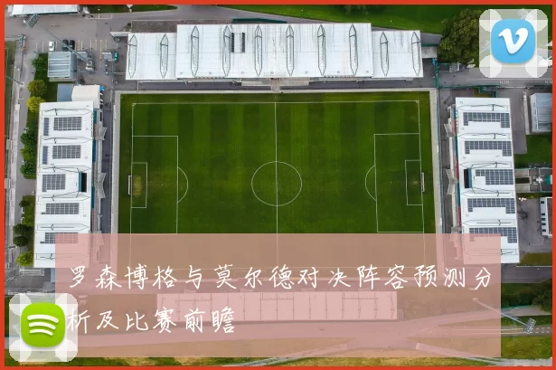 罗森博格与莫尔德对决阵容预测分析及比赛前瞻