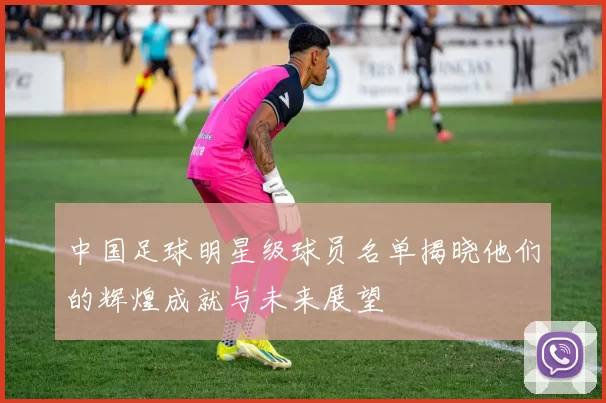 中国足球明星级球员名单揭晓他们的辉煌成就与未来展望