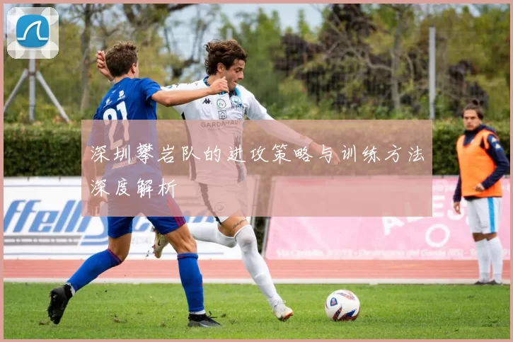 深圳攀岩队的进攻策略与训练方法深度解析