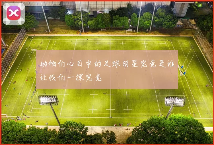 动物们心目中的足球明星究竟是谁让我们一探究竟