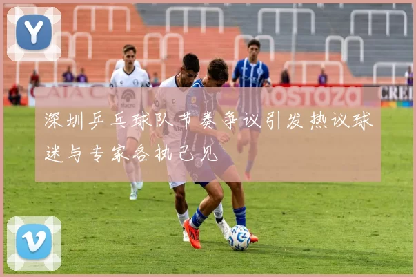 深圳乒乓球队节奏争议引发热议球迷与专家各执己见