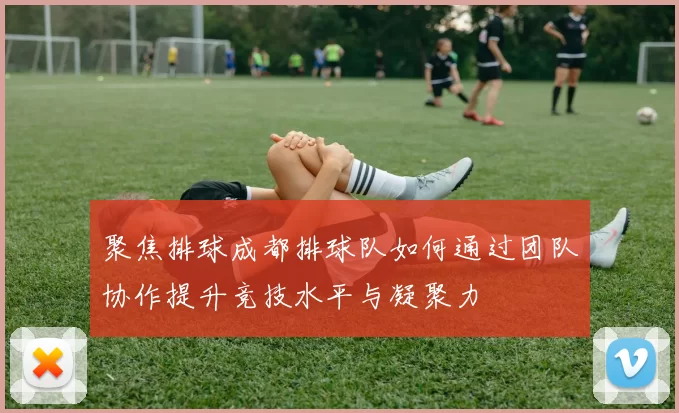 聚焦排球成都排球队如何通过团队协作提升竞技水平与凝聚力