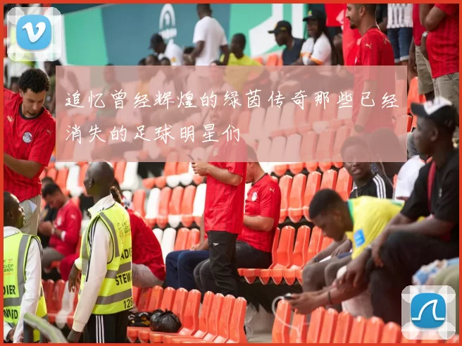 追忆曾经辉煌的绿茵传奇那些已经消失的足球明星们