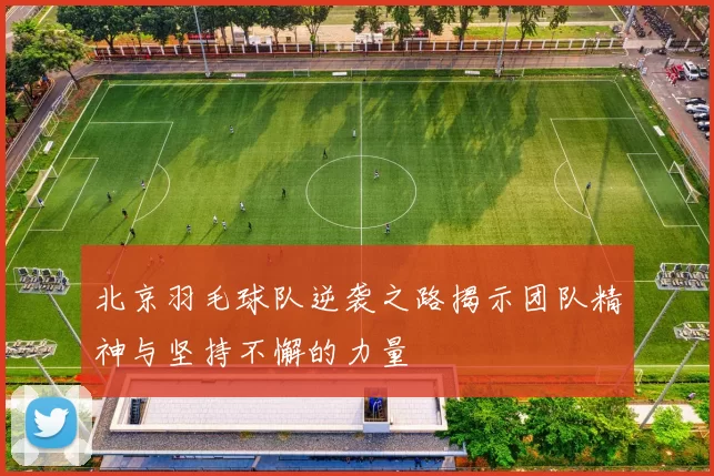 北京羽毛球队逆袭之路揭示团队精神与坚持不懈的力量