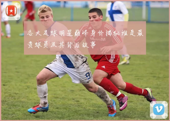 各大足球明星巅峰身价揭秘谁是最贵球员及其背后故事