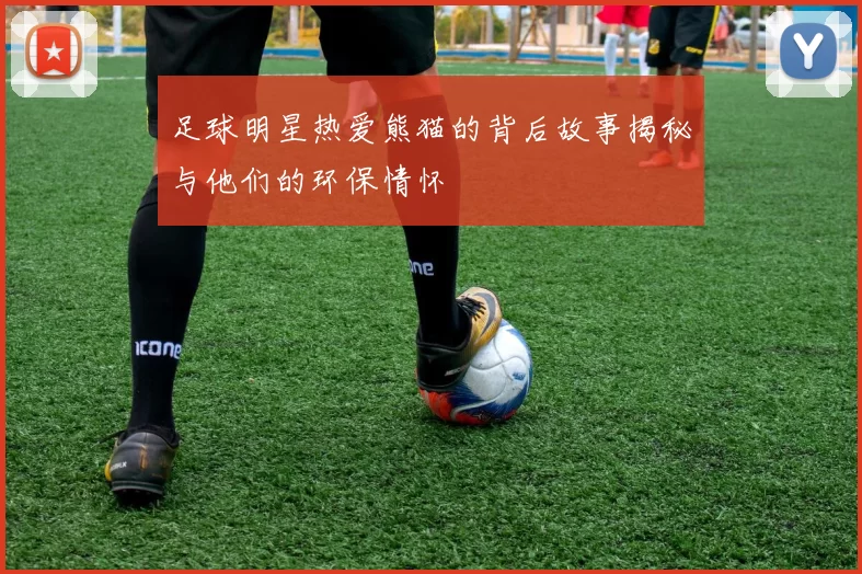 足球明星热爱熊猫的背后故事揭秘与他们的环保情怀
