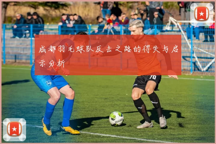 成都羽毛球队反击之路的得失与启示分析