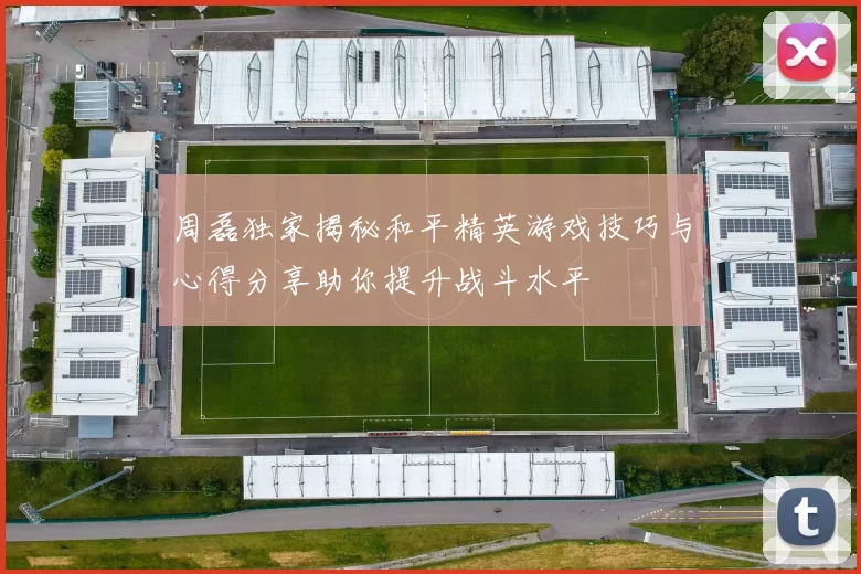 周磊独家揭秘和平精英游戏技巧与心得分享助你提升战斗水平