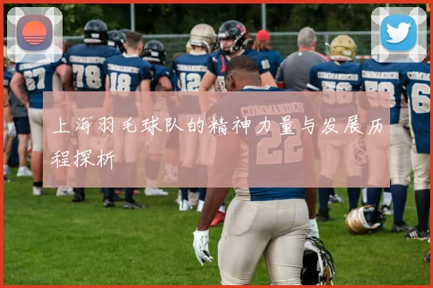 上海羽毛球队的精神力量与发展历程探析